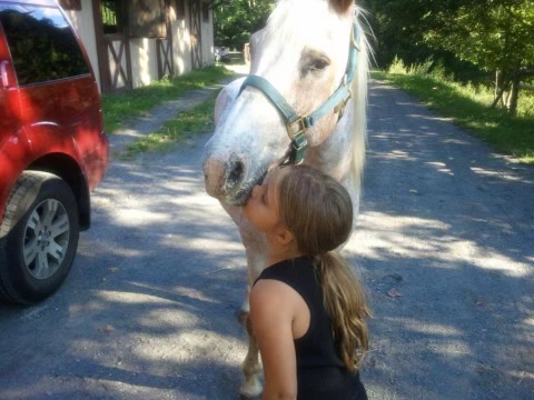 I'm So Hungry I Could Eat a Horse